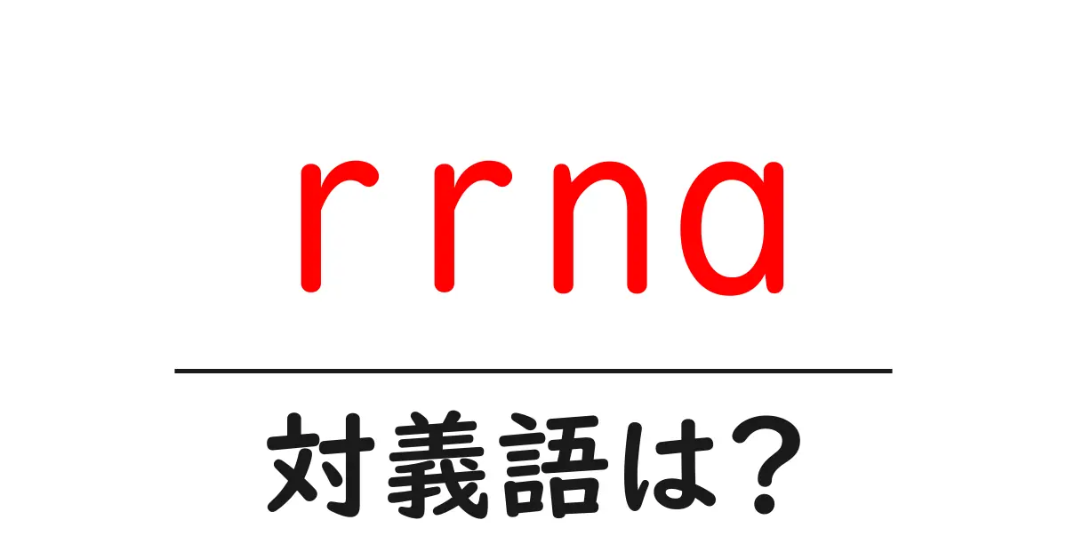 rrnaの対義語・反対語を使用例を交えて分かりやすく解説!