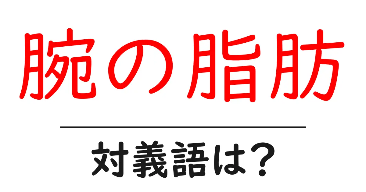 腕の脂肪の対義語・反対語を使用例を交えて分かりやすく解説!