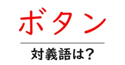 ボタンの対義語・反対語を使用例を交えて分かりやすく解説！