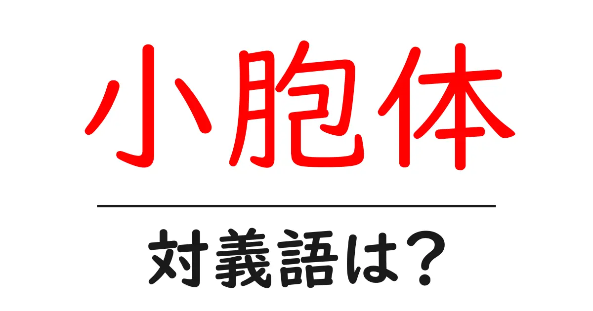 小胞体の対義語・反対語を使用例を交えて分かりやすく解説!