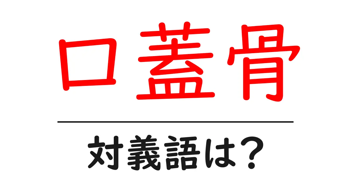 口蓋骨の対義語・反対語を使用例を交えて分かりやすく解説!