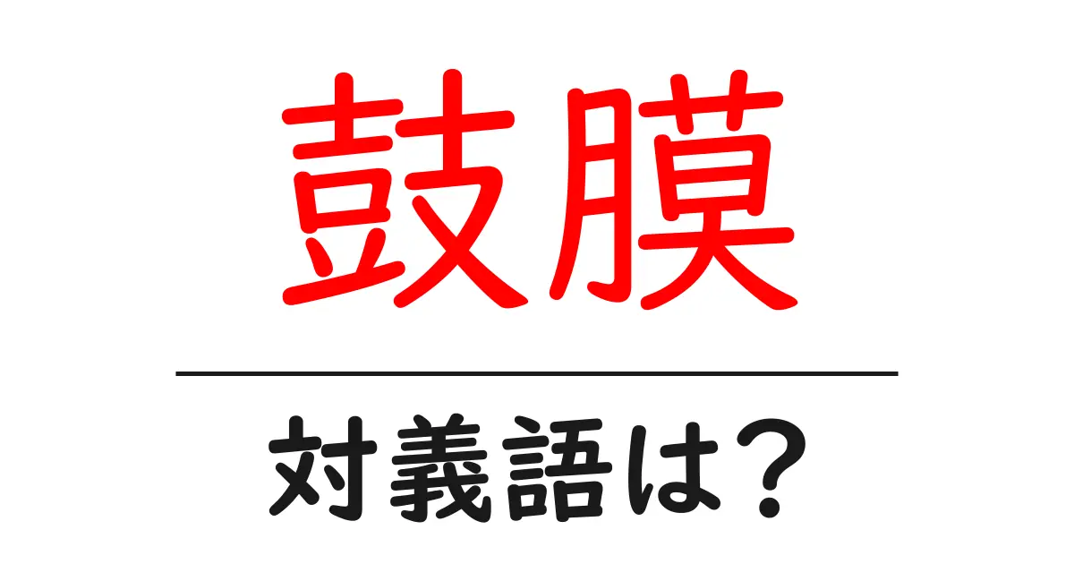 鼓膜の対義語・反対語を使用例を交えて分かりやすく解説！