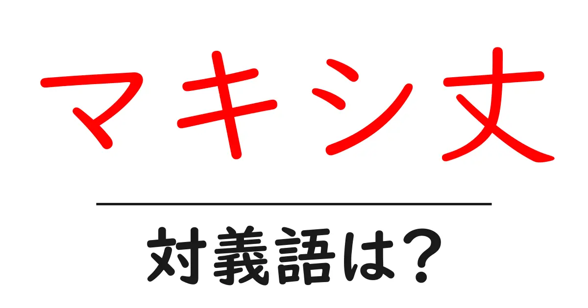 マキシ丈の対義語・反対語を使用例を交えて分かりやすく解説!