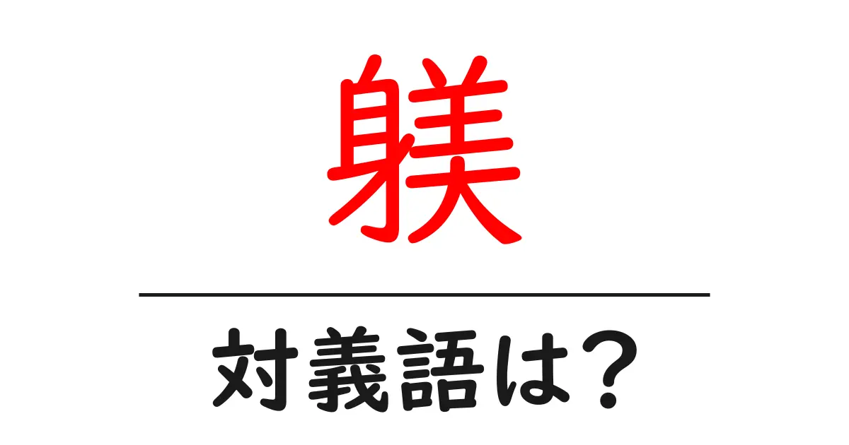 躾の対義語・反対語を使用例を交えて分かりやすく解説!