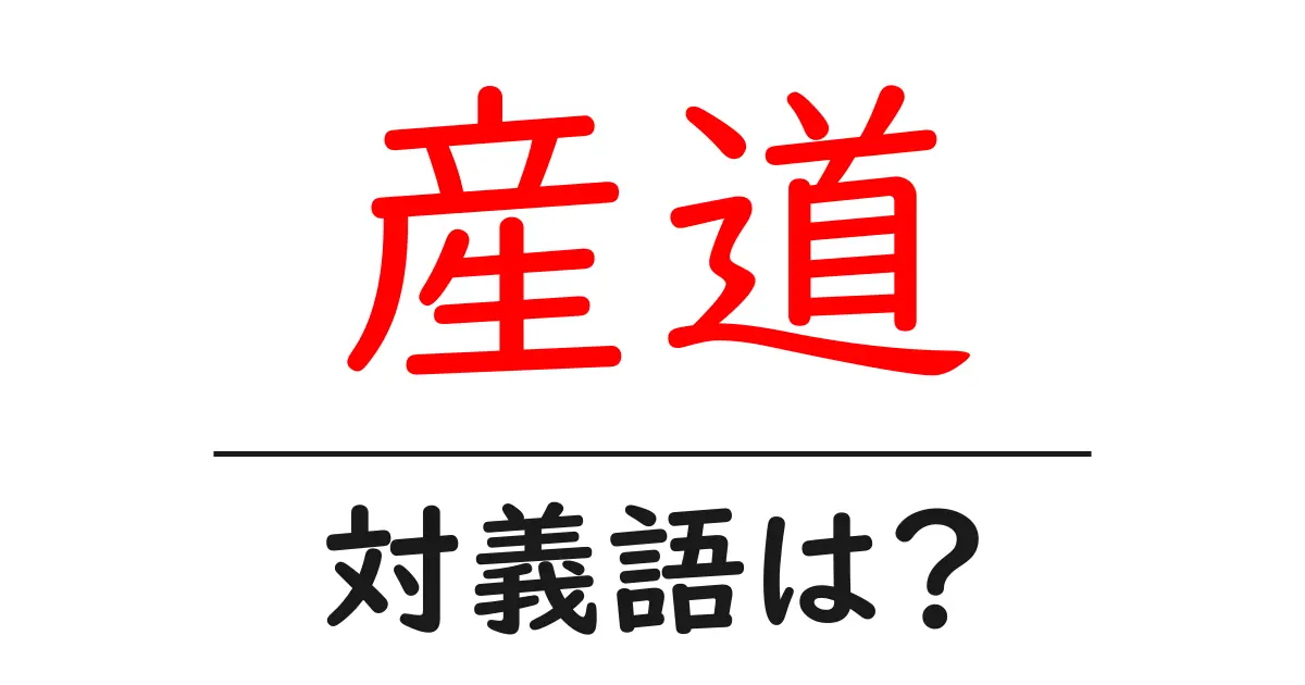 産道の対義語・反対語を使用例を交えて分かりやすく解説!
