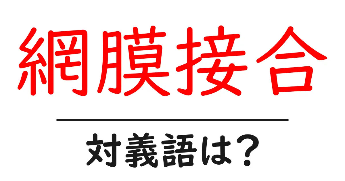 網膜接合の対義語・反対語を使用例を交えて分かりやすく解説！