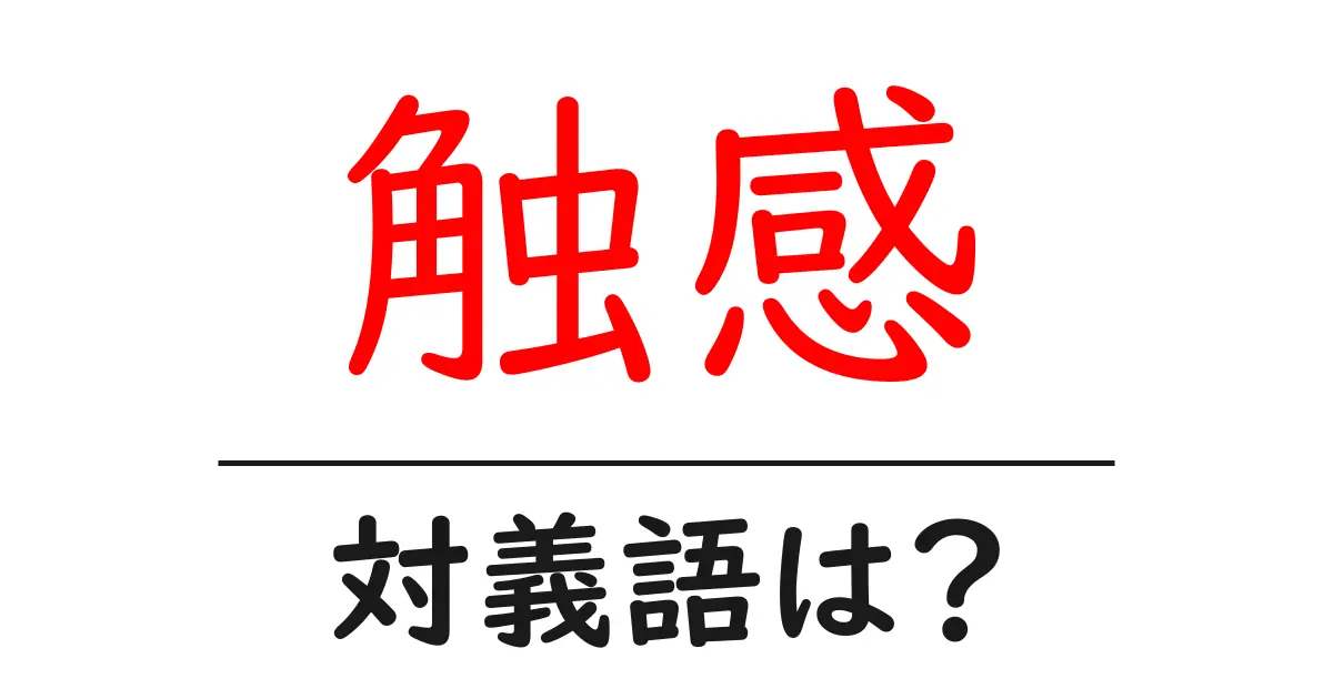 触感の対義語・反対語を使用例を交えて分かりやすく解説!