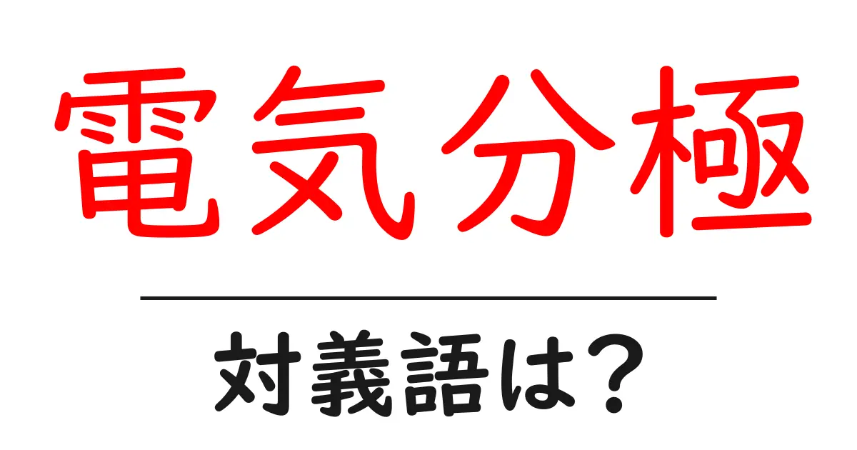 電気分極の対義語・反対語を使用例を交えて分かりやすく解説!