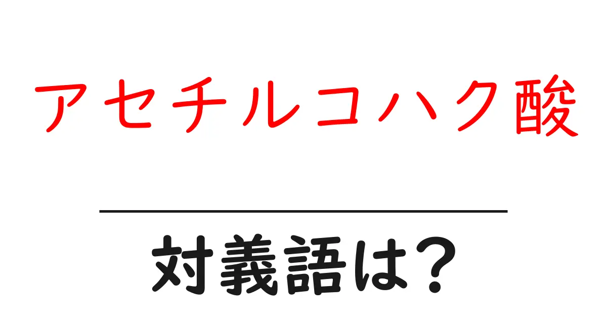 アセチルコハク酸の対義語・反対語を使用例を交えて分かりやすく解説!