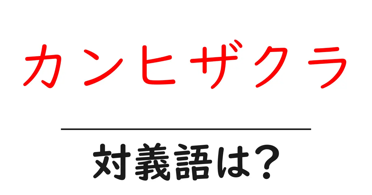 カンヒザクラの対義語・反対語を使用例を交えて分かりやすく解説!