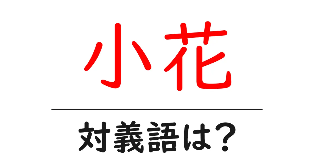 小花の対義語・反対語を使用例を交えて分かりやすく解説!
