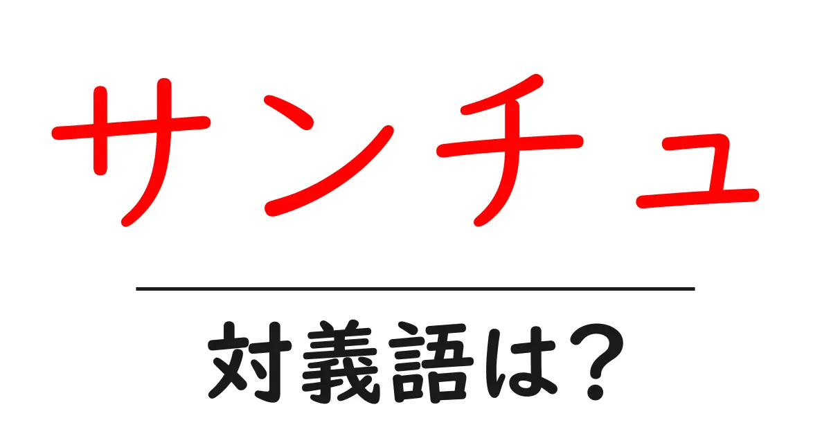 サンチュの対義語・反対語を使用例を交えて分かりやすく解説!