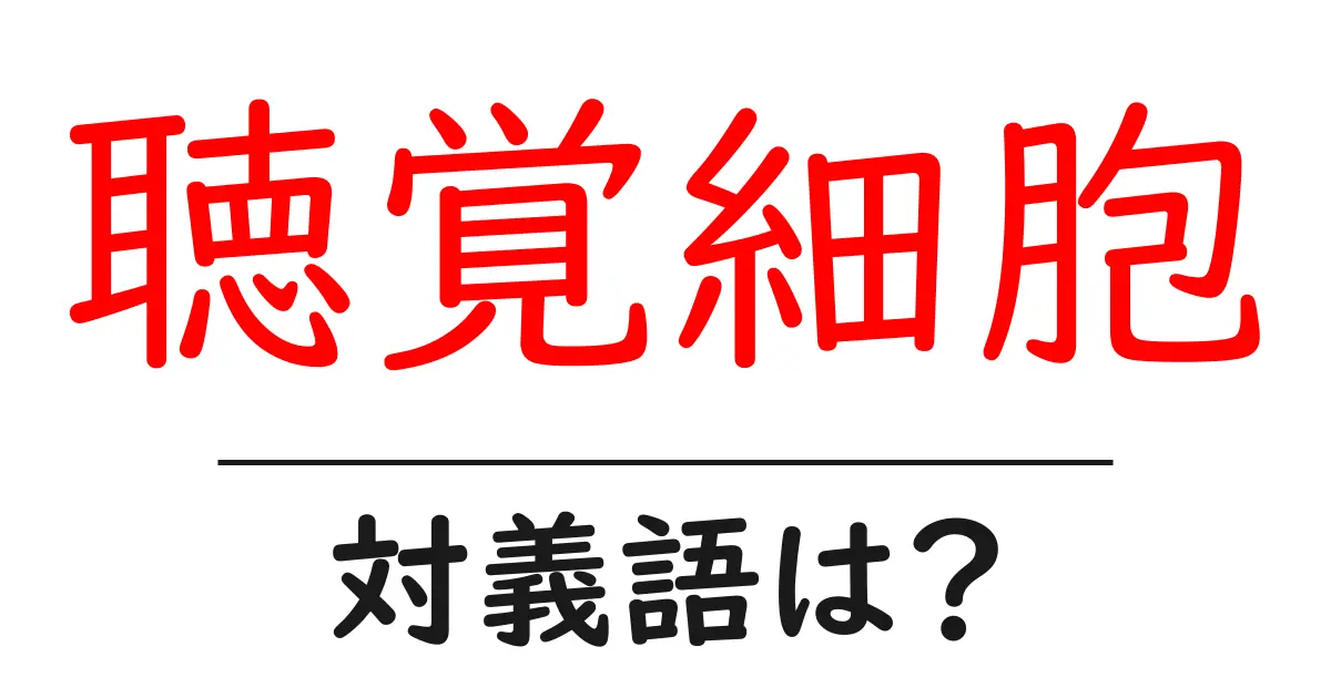 聴覚細胞の対義語・反対語を使用例を交えて分かりやすく解説!