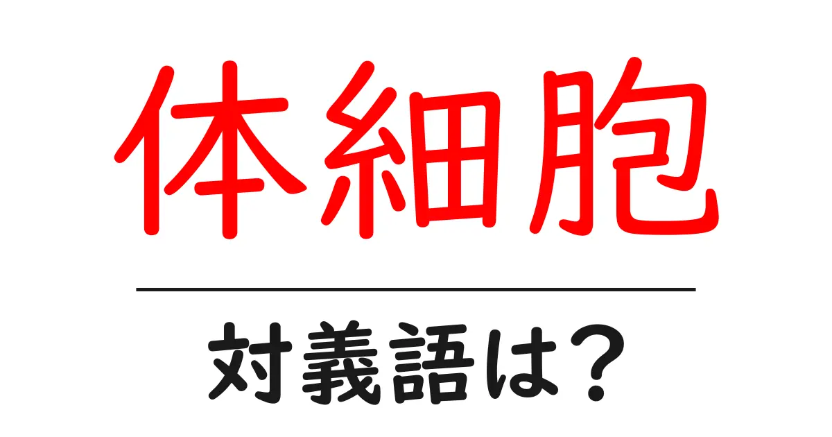 体細胞の対義語・反対語を使用例を交えて分かりやすく解説!