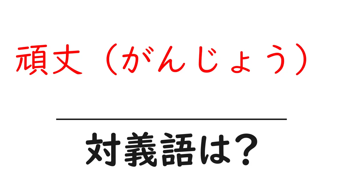 頑丈（がんじょう）の対義語・反対語を使用例を交えて分かりやすく解説！