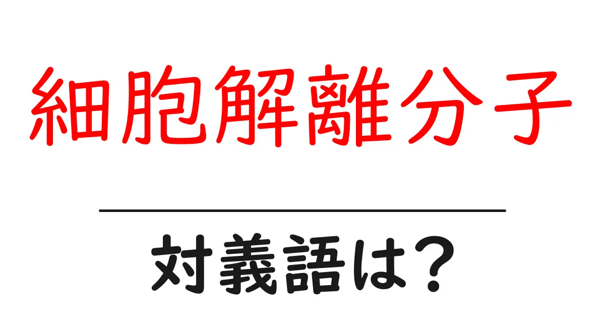 細胞解離分子の対義語・反対語を使用例を交えて分かりやすく解説!