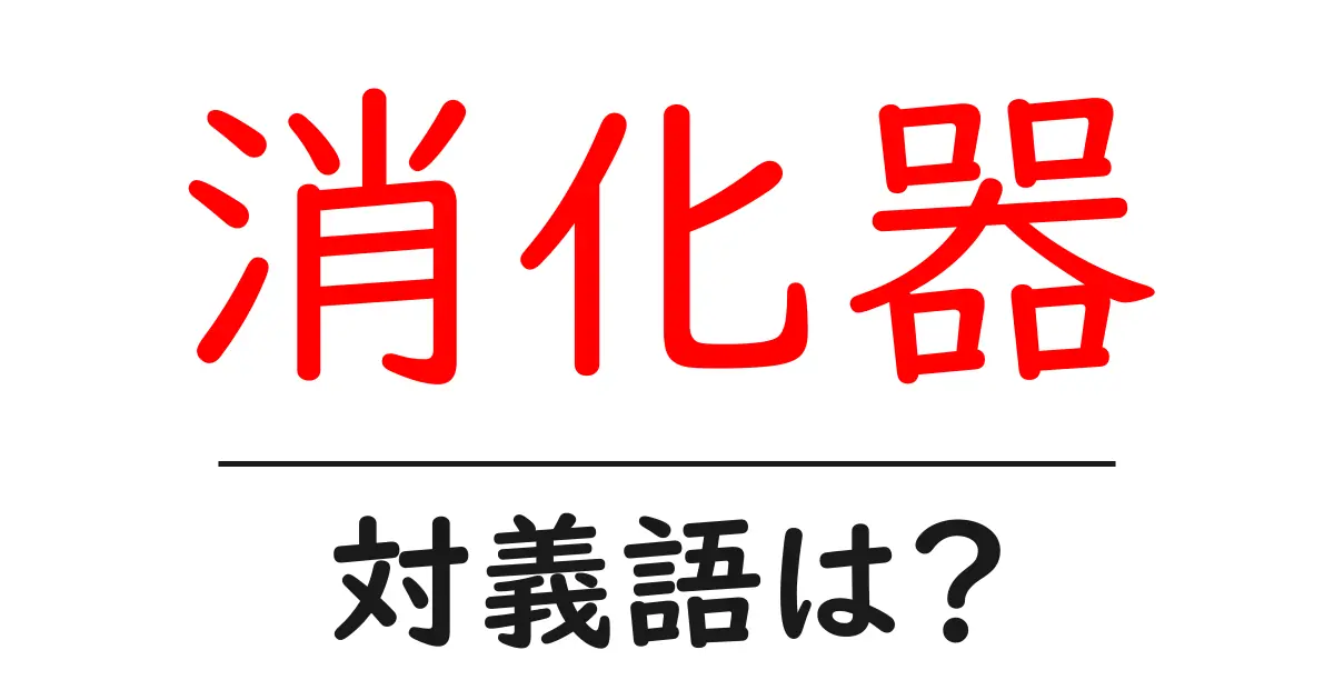 消化器の対義語・反対語を使用例を交えて分かりやすく解説!