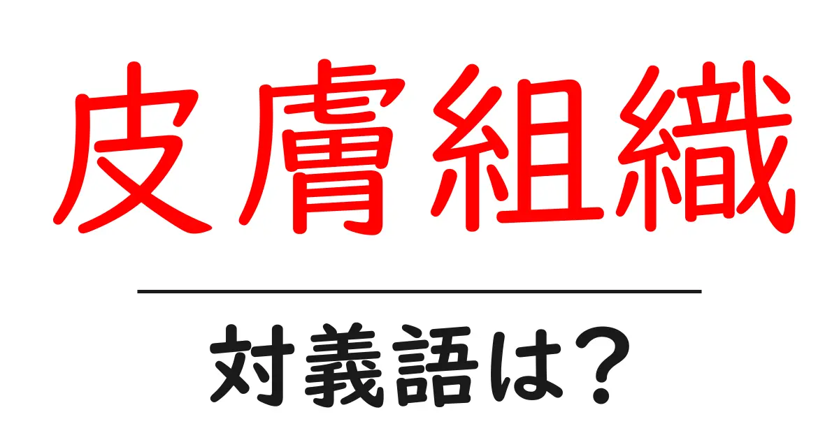 皮膚組織の対義語・反対語を使用例を交えて分かりやすく解説!