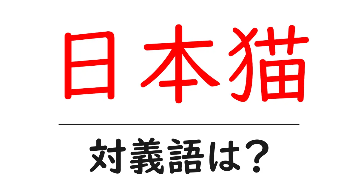 日本猫の対義語・反対語を使用例を交えて分かりやすく解説!