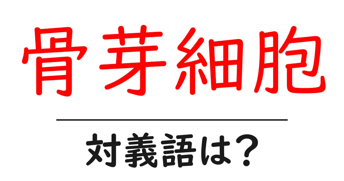 骨芽細胞の対義語・反対語を使用例を交えて分かりやすく解説!