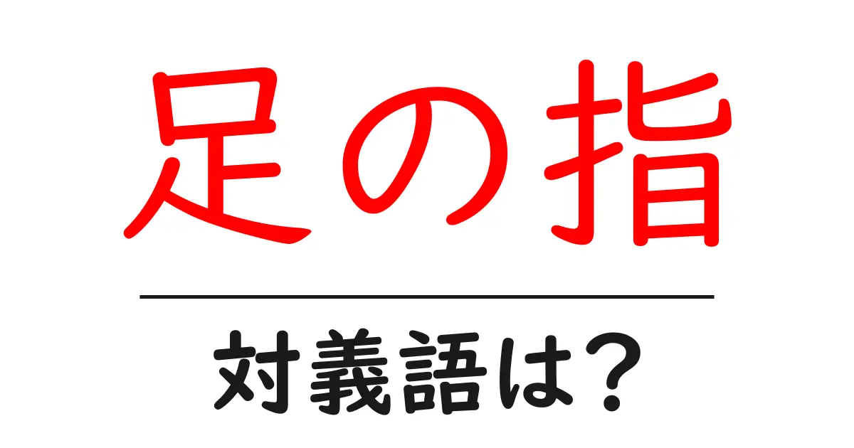 足の指の対義語・反対語を使用例を交えて分かりやすく解説!