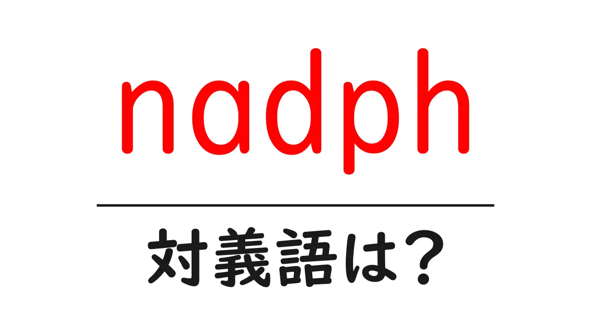 nadphの対義語・反対語を使用例を交えて分かりやすく解説！