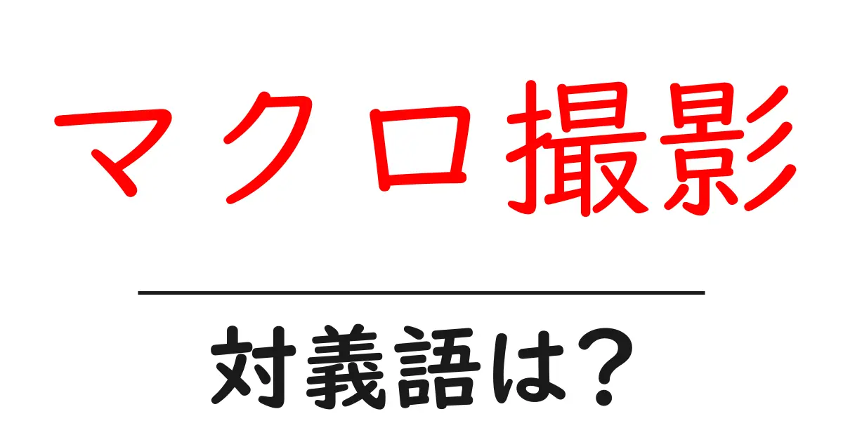 マクロ撮影の対義語・反対語を使用例を交えて分かりやすく解説!