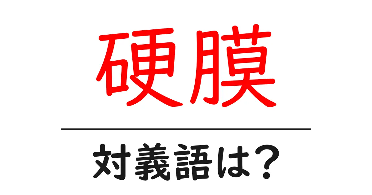 硬膜の対義語・反対語を使用例を交えて分かりやすく解説!
