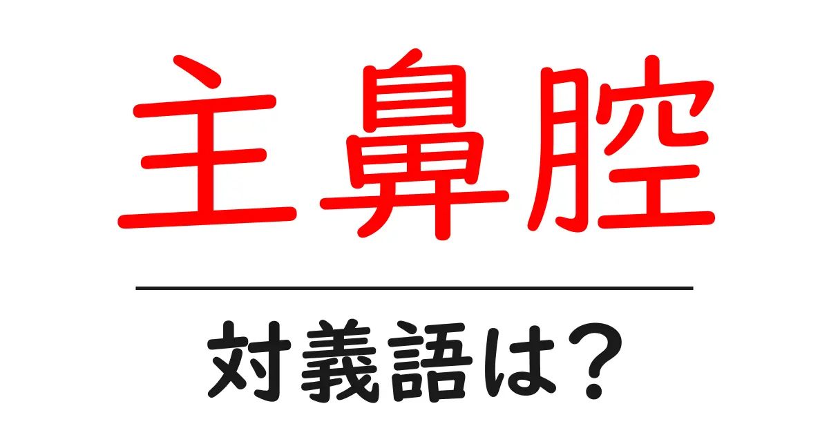 主鼻腔の対義語・反対語を使用例を交えて分かりやすく解説!