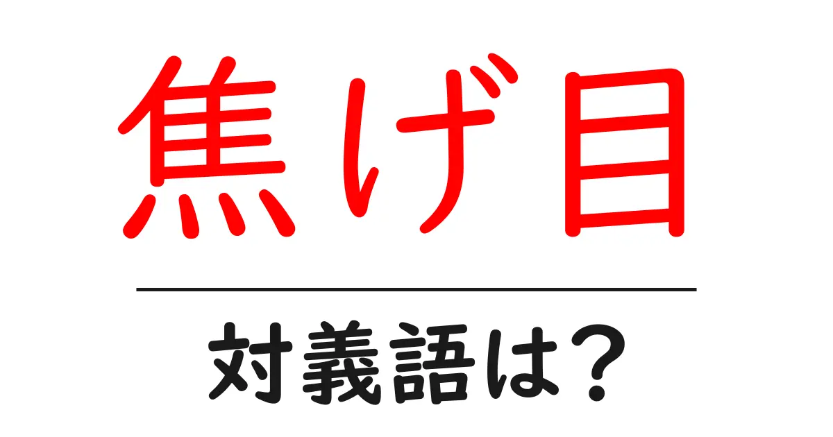 焦げ目の対義語・反対語を使用例を交えて分かりやすく解説！