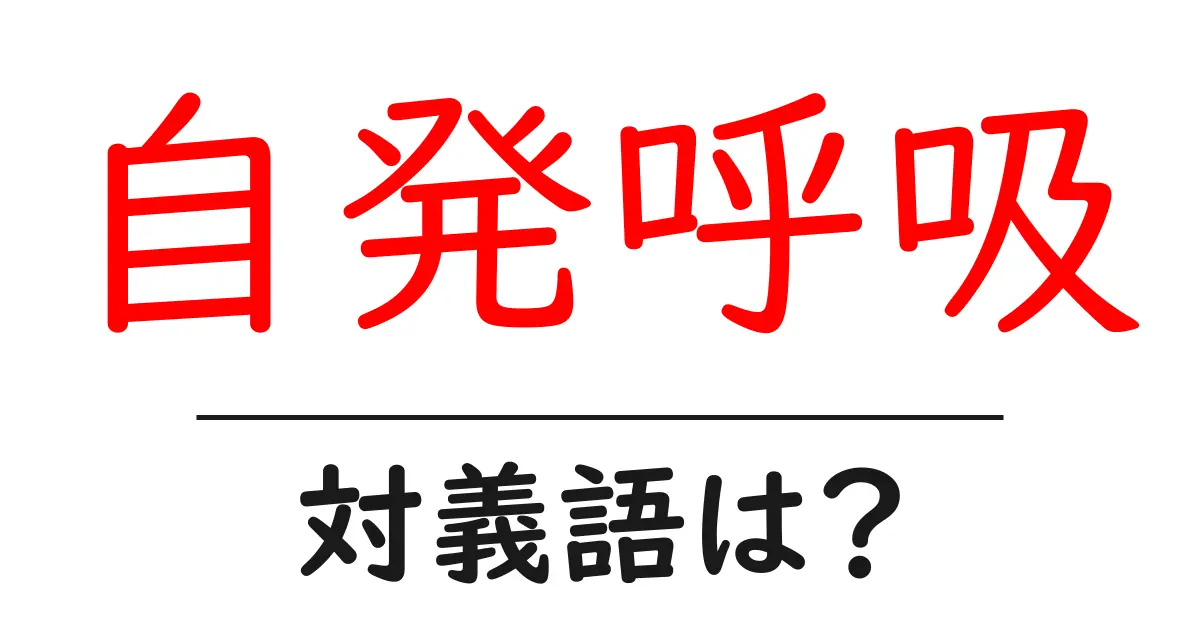 自発呼吸の対義語・反対語を使用例を交えて分かりやすく解説!