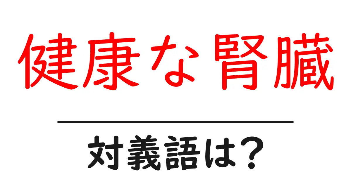 健康な腎臓の対義語・反対語を使用例を交えて分かりやすく解説!