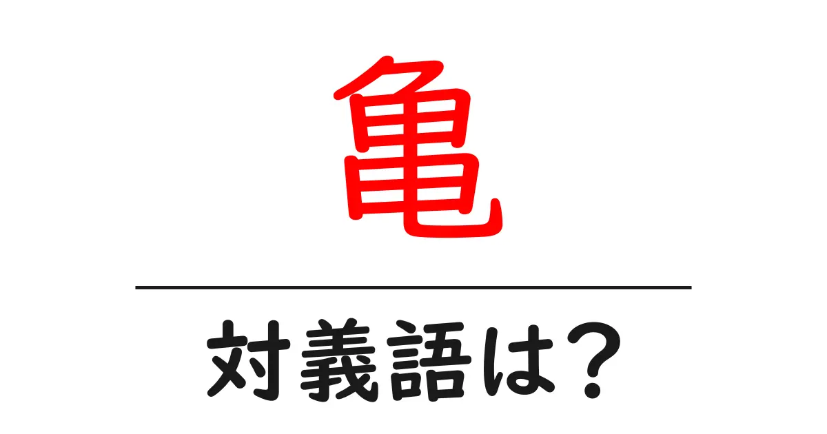 亀の対義語・反対語を使用例を交えて分かりやすく解説！