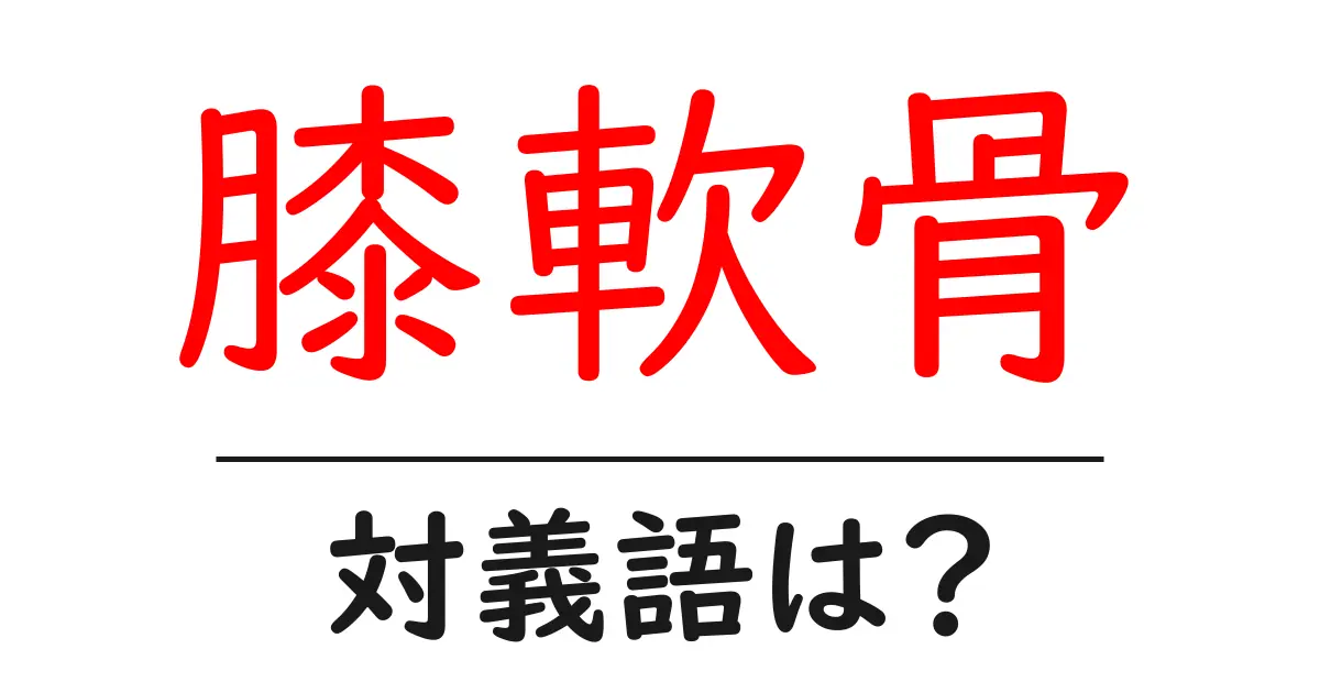 膝軟骨の対義語・反対語を使用例を交えて分かりやすく解説!