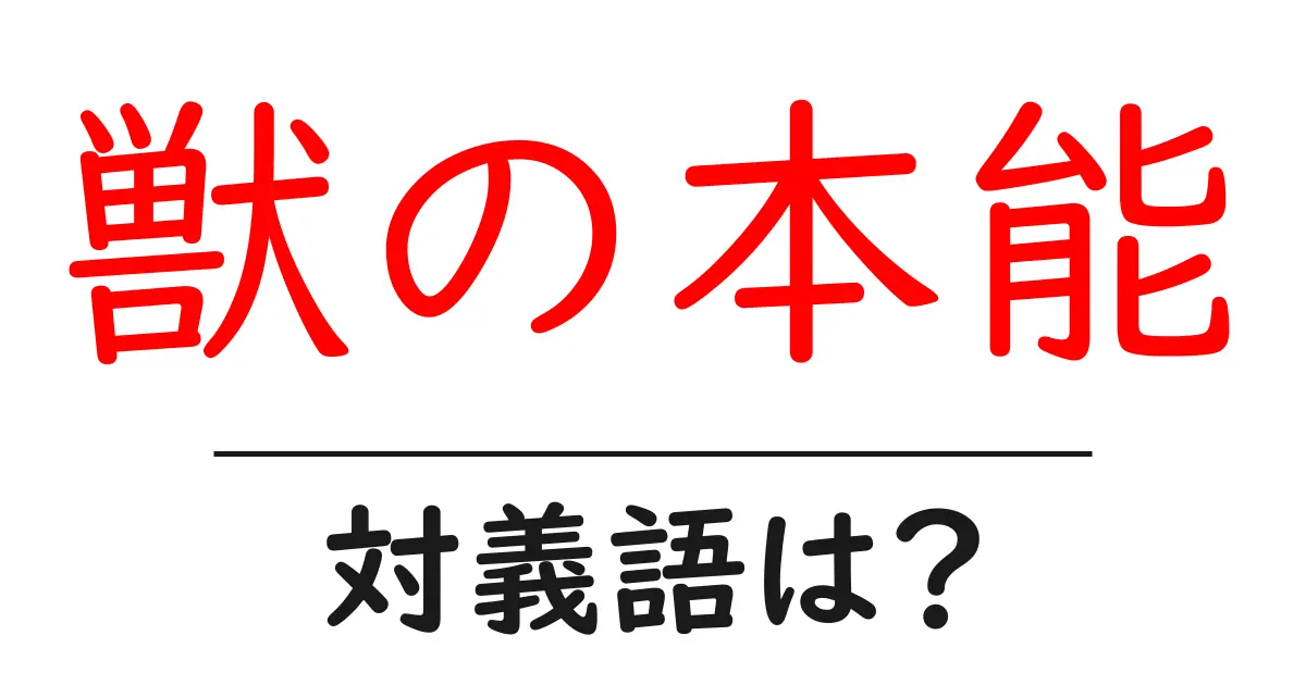 獣の本能の対義語・反対語を使用例を交えて分かりやすく解説!