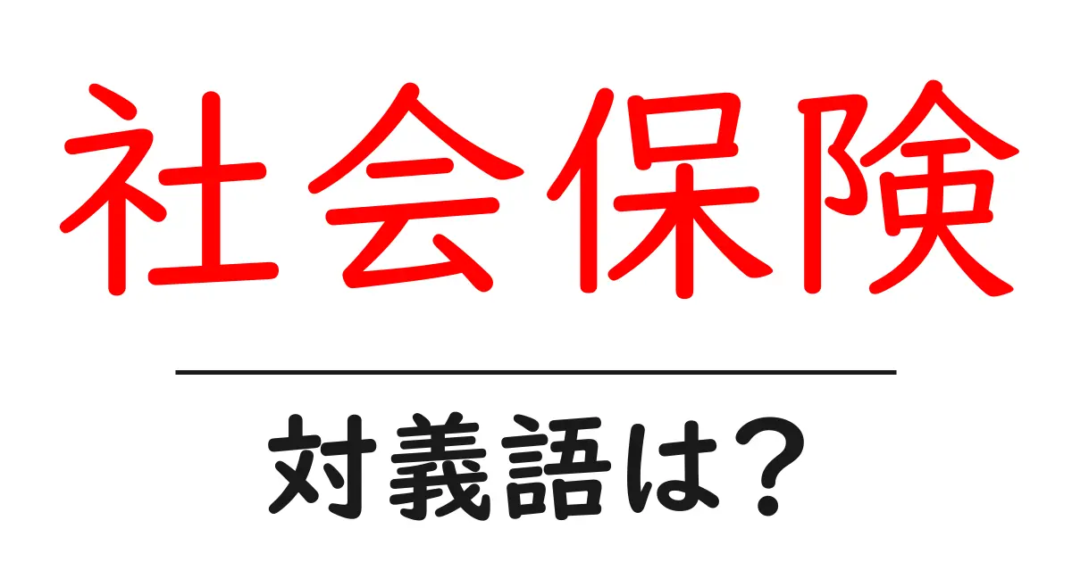 社会保険の対義語・反対語を使用例を交えて分かりやすく解説!