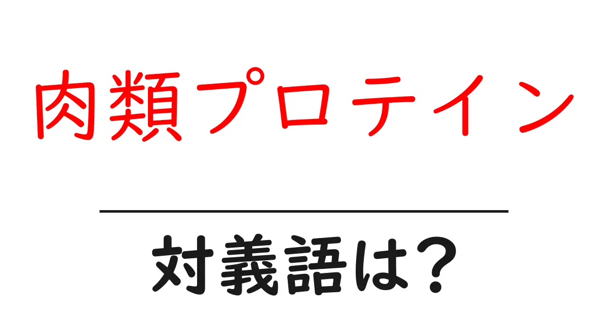 肉類プロテインの対義語・反対語を使用例を交えて分かりやすく解説!