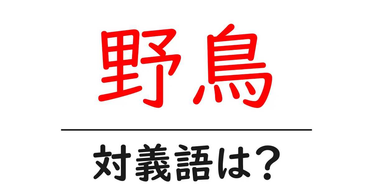 野鳥の対義語・反対語を使用例を交えて分かりやすく解説!