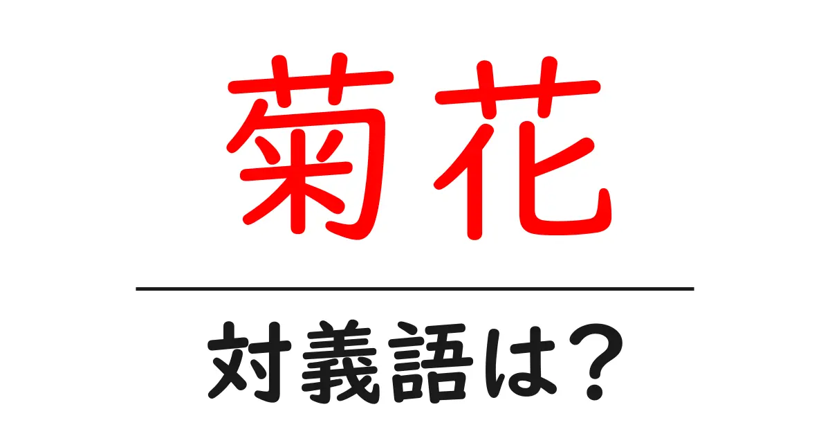 菊花の対義語・反対語を使用例を交えて分かりやすく解説!