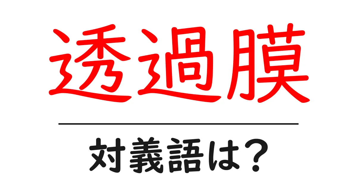 透過膜の対義語・反対語を使用例を交えて分かりやすく解説!