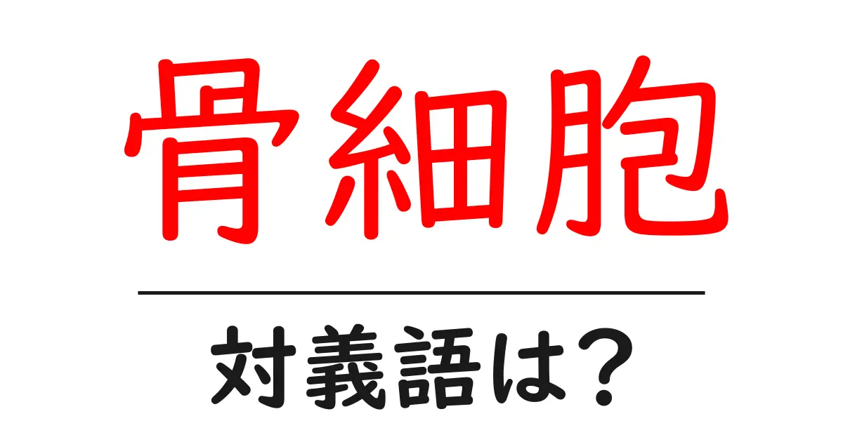 骨細胞の対義語・反対語を使用例を交えて分かりやすく解説!