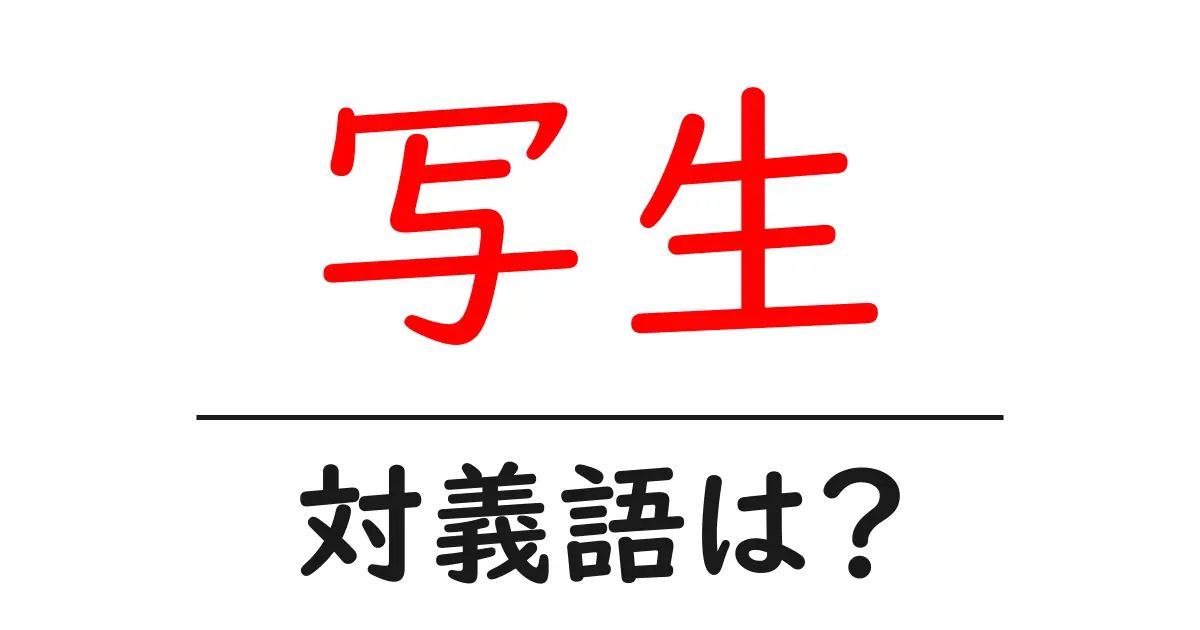 写生の対義語・反対語を使用例を交えて分かりやすく解説!