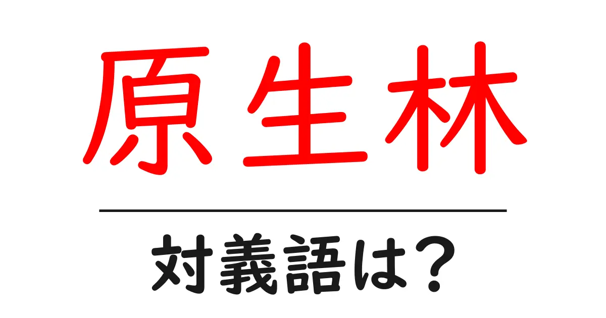 原生林の対義語・反対語を使用例を交えて分かりやすく解説！