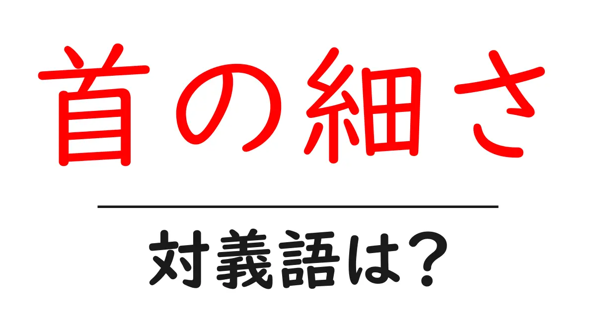首の細さの対義語・反対語を使用例を交えて分かりやすく解説!