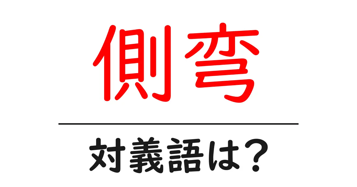 側弯の対義語・反対語を使用例を交えて分かりやすく解説!