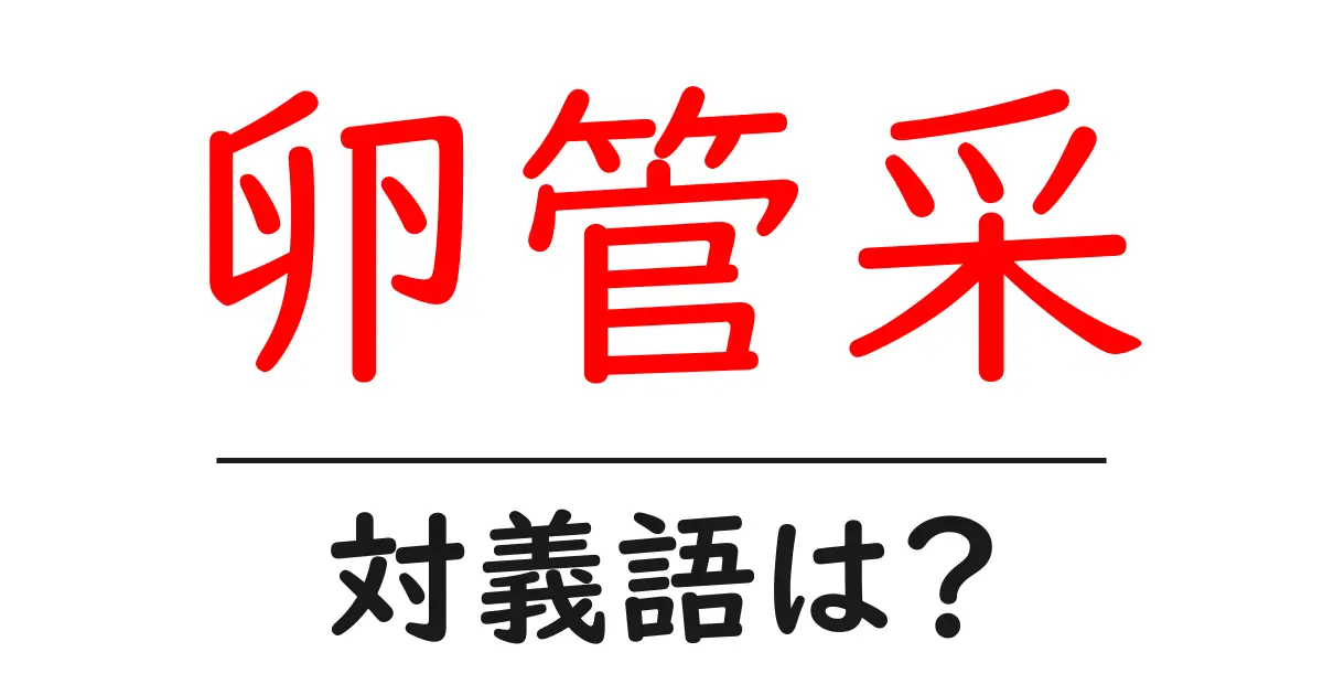卵管采の対義語・反対語を使用例を交えて分かりやすく解説!