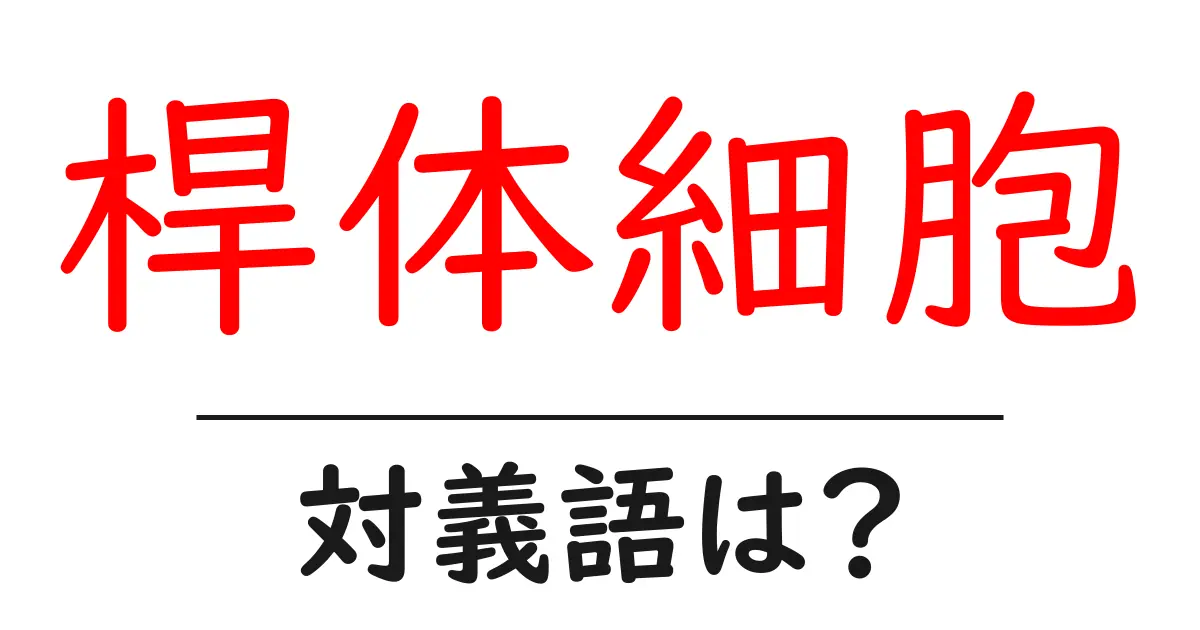 桿体細胞の対義語・反対語を使用例を交えて分かりやすく解説！