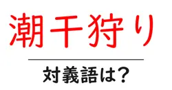潮干狩りの対義語・反対語を使用例を交えて分かりやすく解説！
