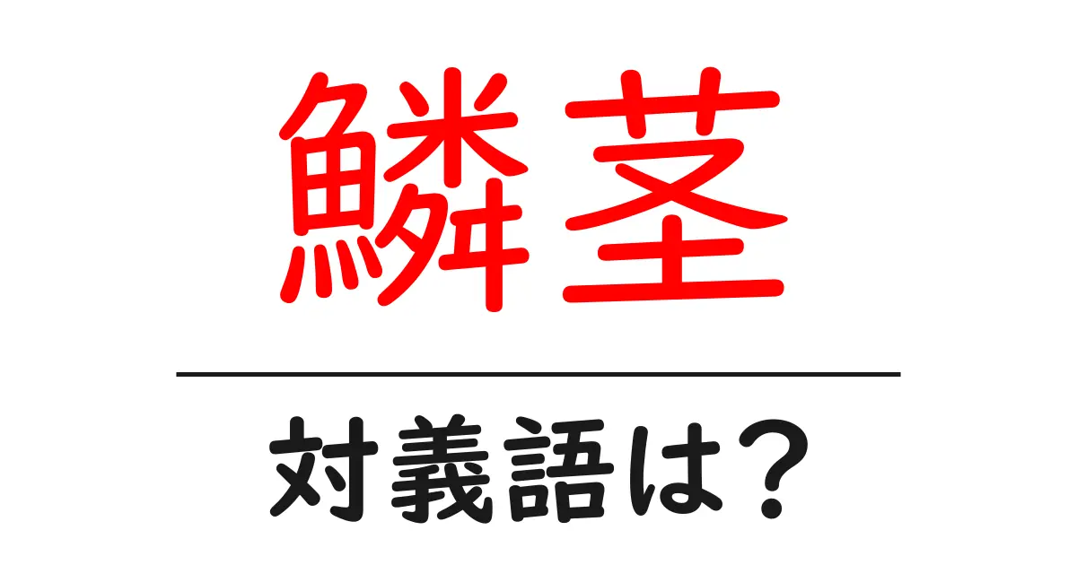 鱗茎の対義語・反対語を使用例を交えて分かりやすく解説!