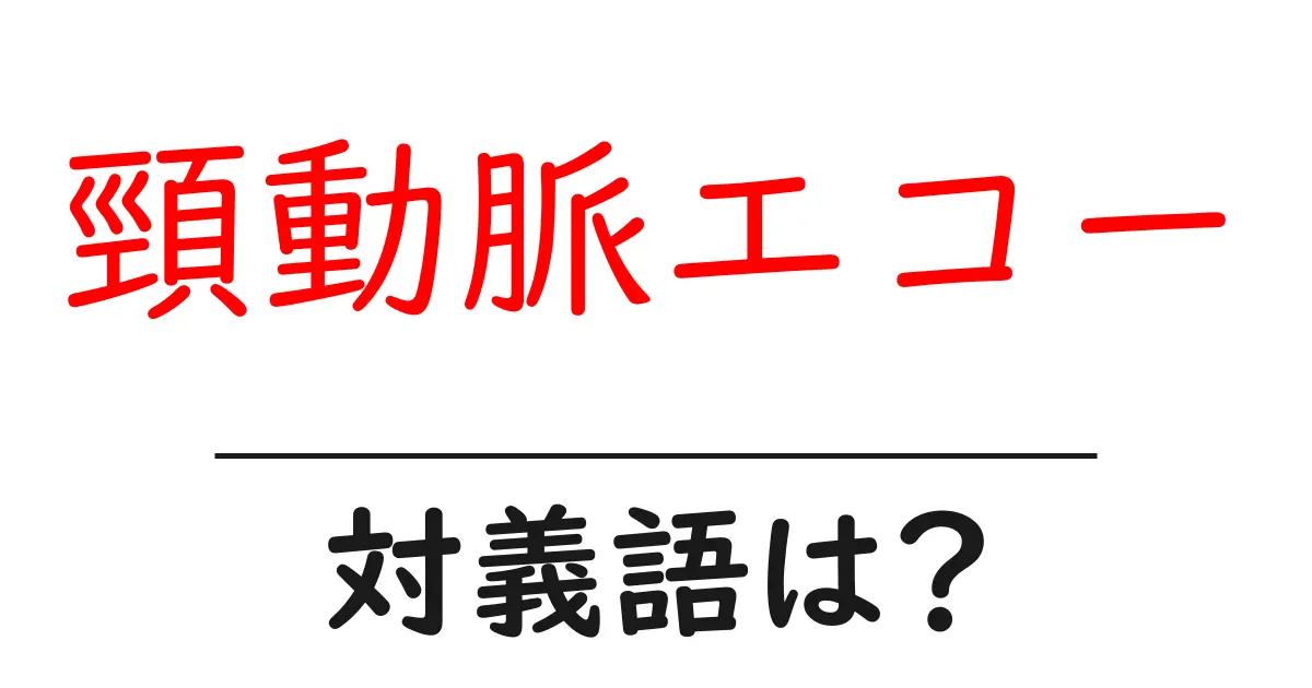 頸動脈エコーの対義語・反対語を使用例を交えて分かりやすく解説！